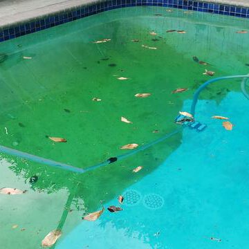 dirty swimming pool before clean-up